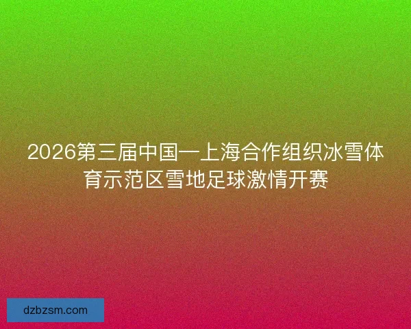 2026第三届中国—上海合作组织冰雪体育示范区雪地足球激情开赛