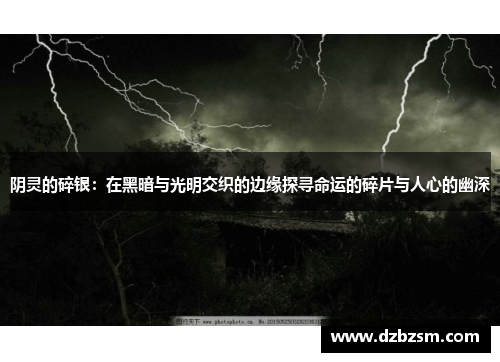 阴灵的碎银：在黑暗与光明交织的边缘探寻命运的碎片与人心的幽深