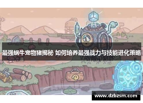 最强蜗牛宠物猪揭秘 如何培养最强战力与技能进化策略
